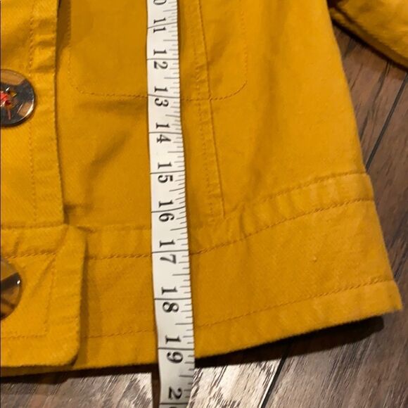 A by Anthropologie Flounced sleeves cropped Jacket size XS EUC - Picture 12 of 13